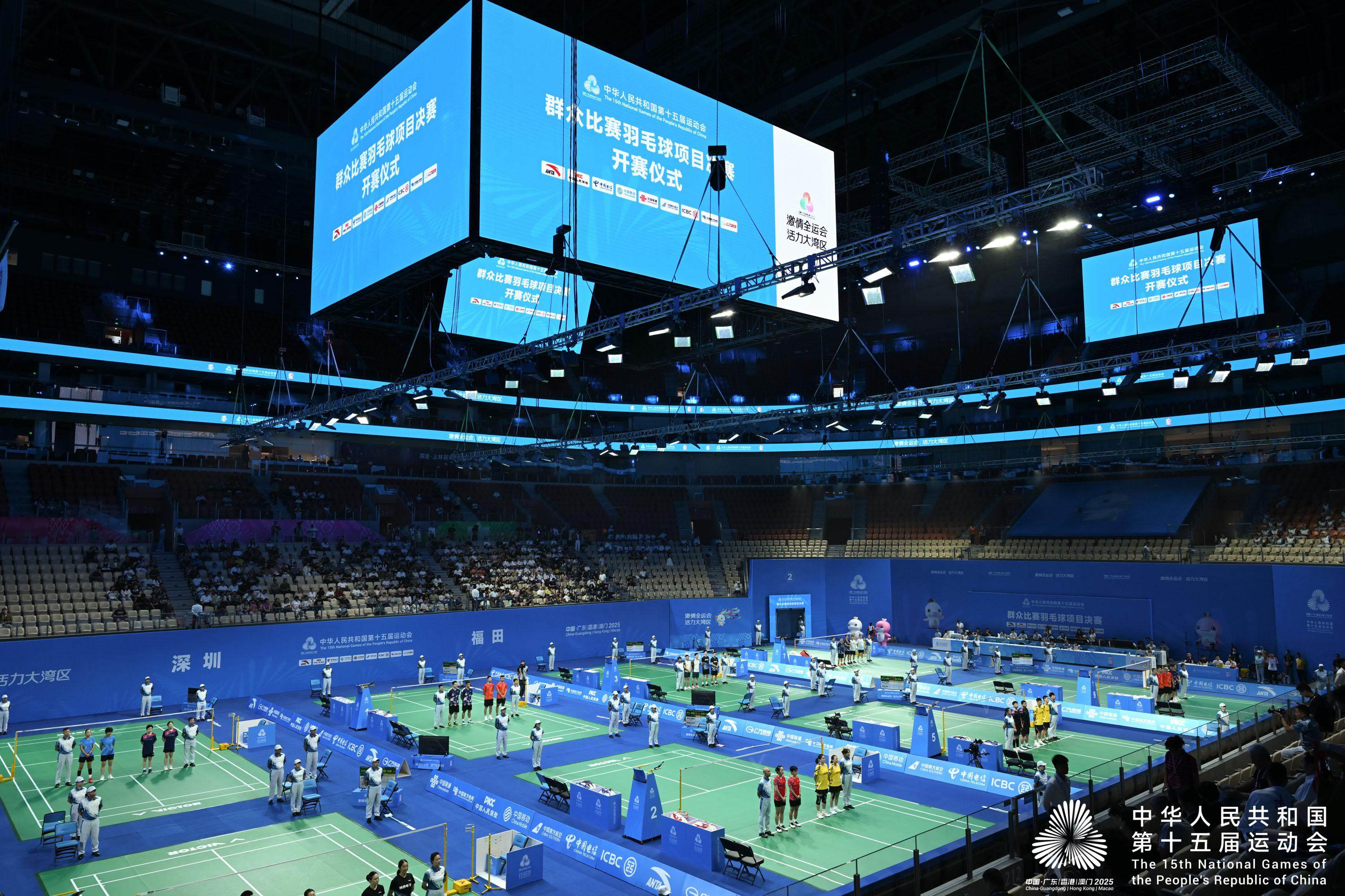 锚定, 毛球项目的 锚定, 毛球项目的